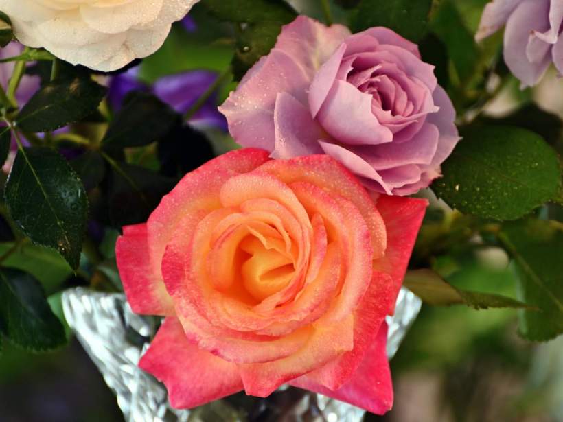 Dzień Edukacji Narodowej i Dzień Nauczyciela